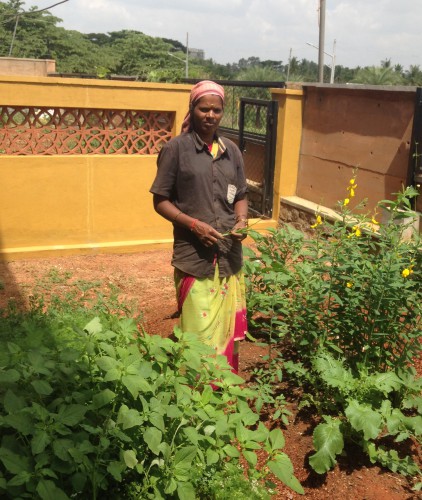 Lakshmi wastepicker to urban farmer