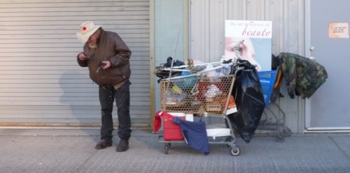 Calgary Can bottle pickers