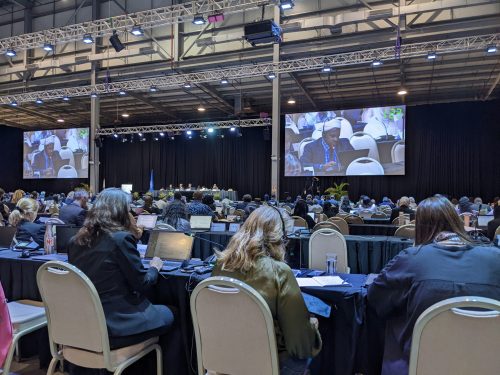 Dr. Ayub Macharia announcing Just Transition Initiative in the INC.